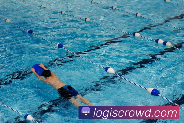 问鼎官网入口服务体系